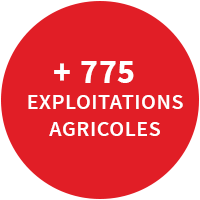 exploitation-agricole