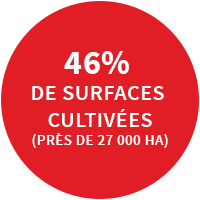 surface-cultivée surface-cultivée