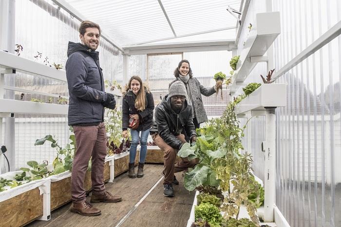 Communiqué Presse Le Potager De Coralie